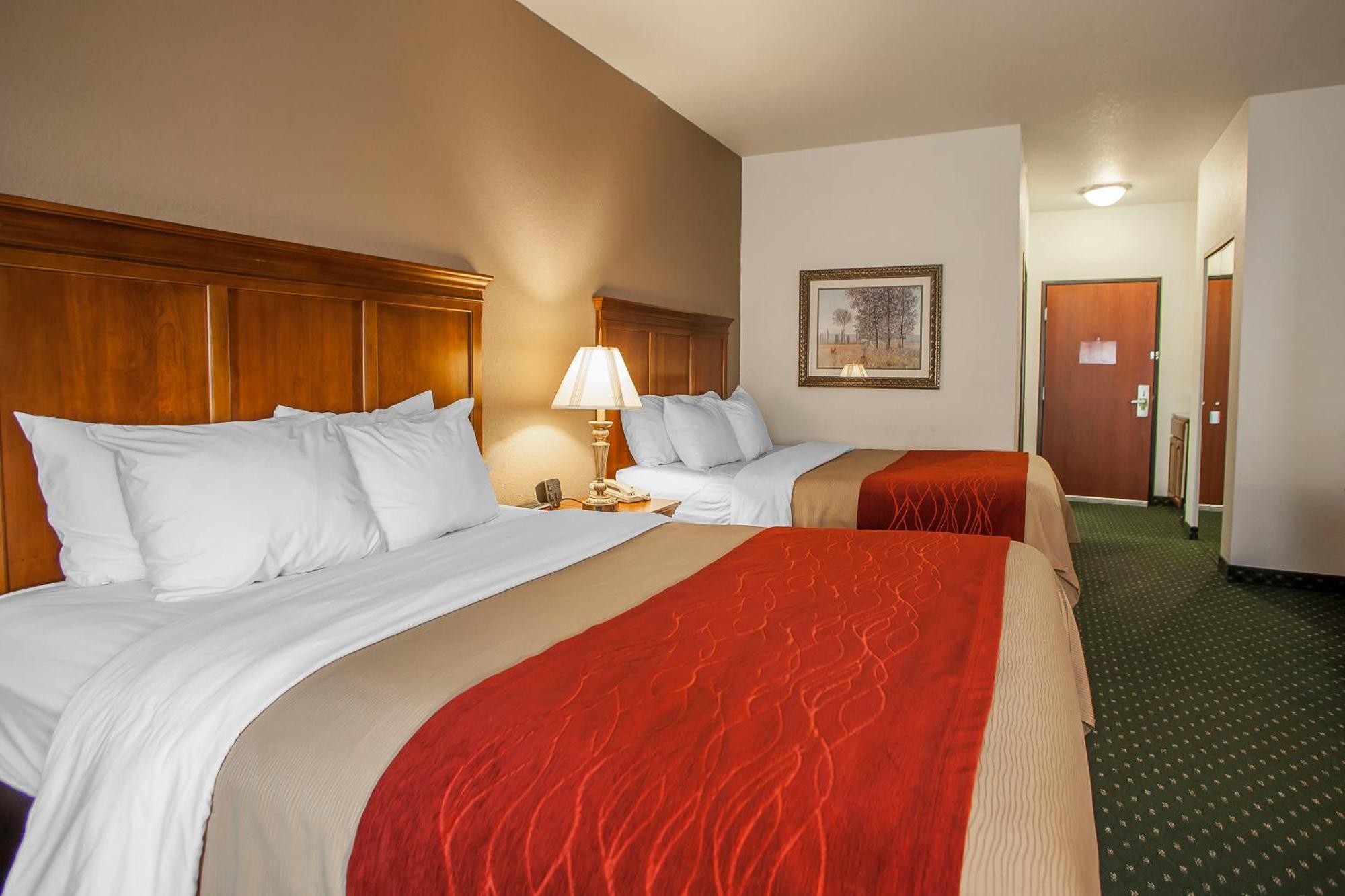 Comfort Inn & Suites Davenport - Quad Cities Buitenkant foto